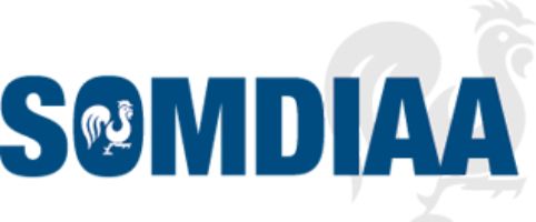 logo_somdiaa